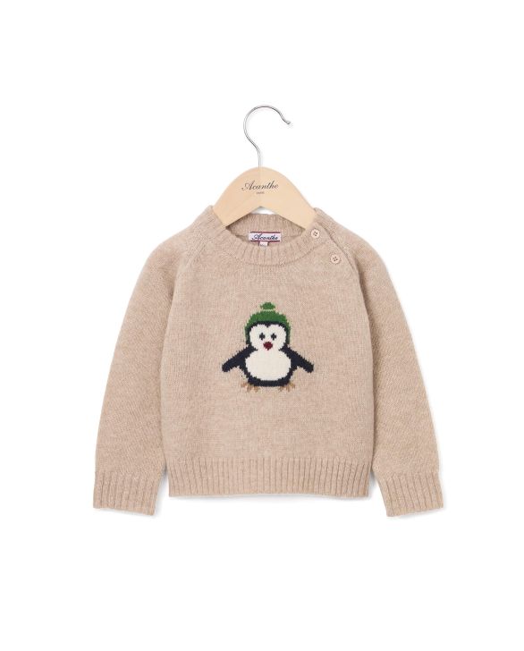 pull ALEXANDRE 100% lambswool