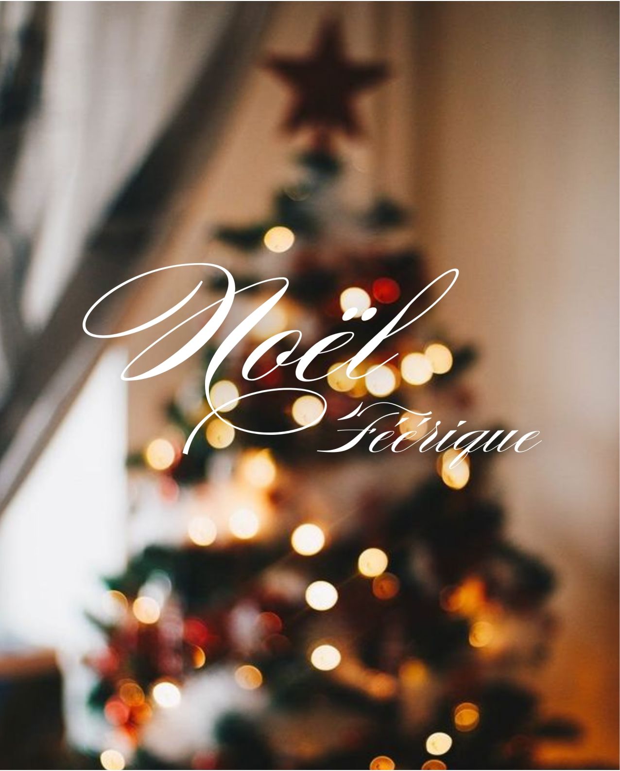 Factice noël standard